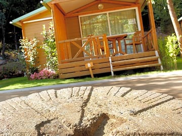 Comfy cabins with spacious terrace and outdoor furniture