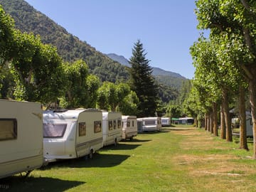 Grass pitches surrounded by trees