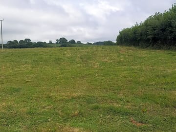 Pitches on a spacious field