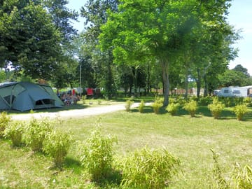 Grassy pitches