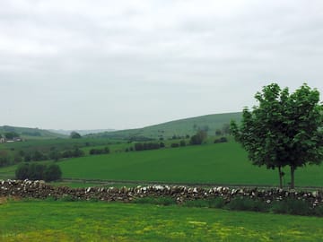 Pitches and neighbouring fields