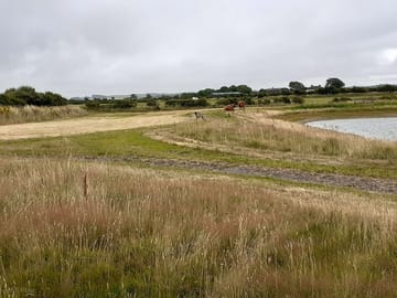 Wild camping pitches