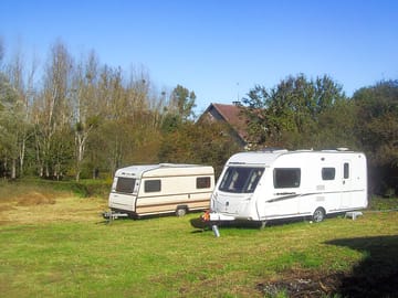 Trees around the pitches