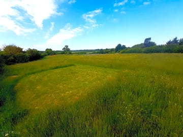 Bonny grass pitch