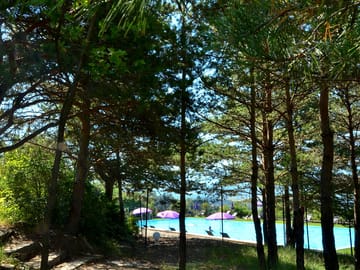 Swimming pool surrounded by trees