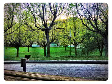 Around the site