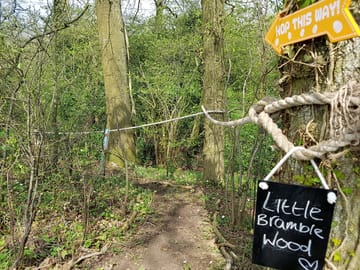 On-site nature trail walk