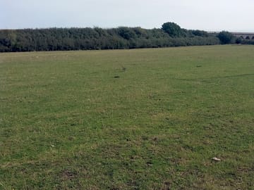 Grass pitches with hedging around