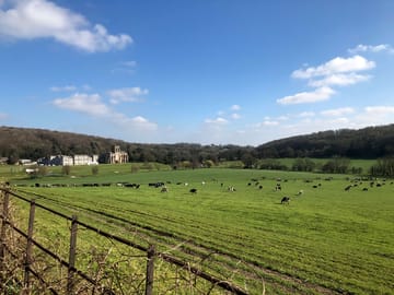 Rural views