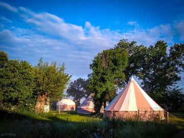 Tents in the early morning light