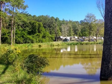 Pitches by the lake
