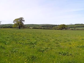 6 acres of space to pick a pitch and pitch up