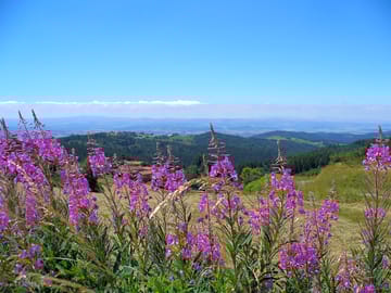 The views of Auvergne