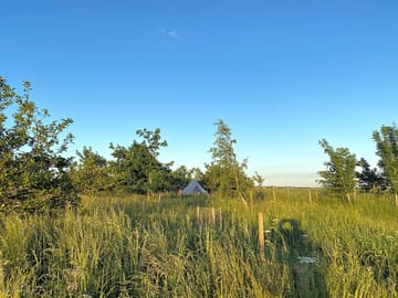 Views towards the site