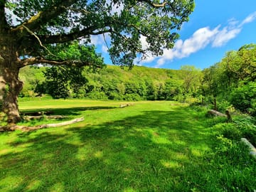 Grassy pitches