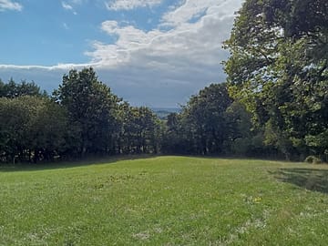 field