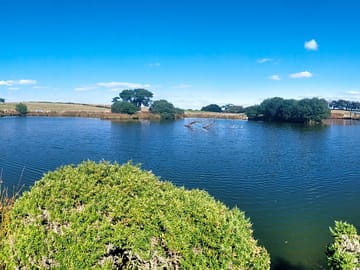 The lake