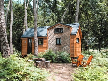 Woodland setting