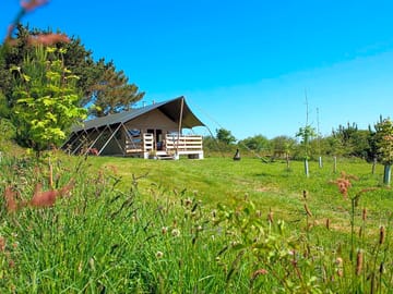 Safari tent