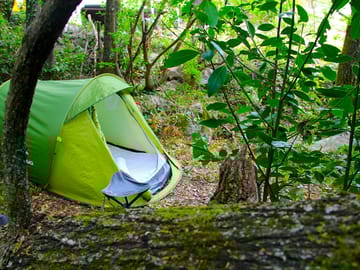 Forest tent