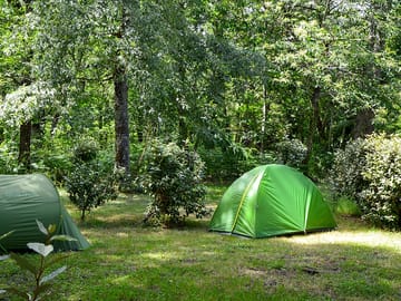 Shaded site