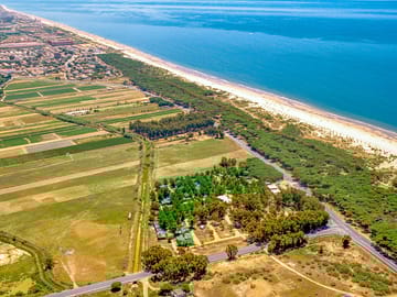 Aerial view of the site and beach