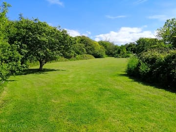 The meadow