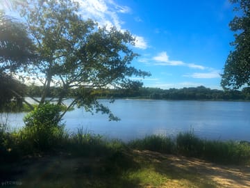 View over the river