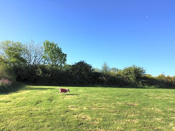 Around the site