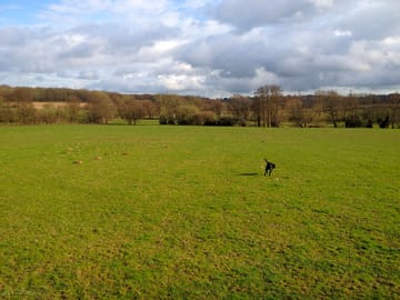 Out walking