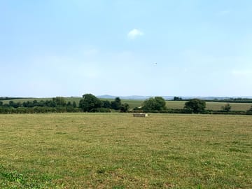The site