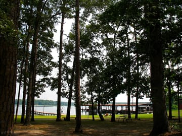Views of the lake from the pitches