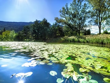 Lake Caldonazzo