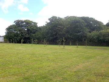 Spacious pitches