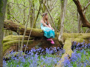 Woodland glamping