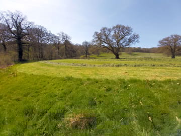 Field views