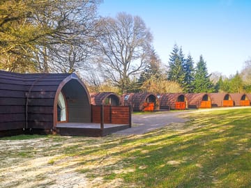 View of the pods