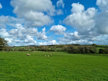 Grassy pitches
