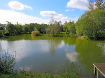 Pond