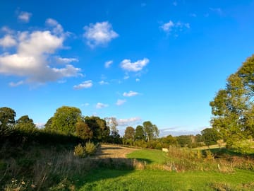 Autumn afternoon