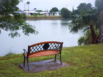 Lakeside benches