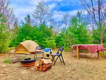 Site sheltered by trees