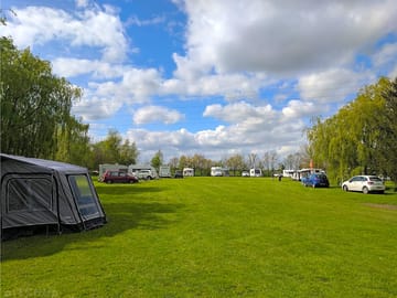 Grass pitches surrounded by trees