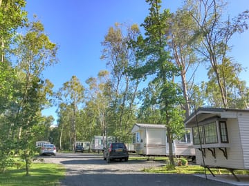 Static caravans in the woods