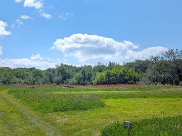 Freshly mowed pitches with natural wild flower borders