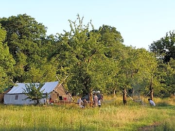 The camp