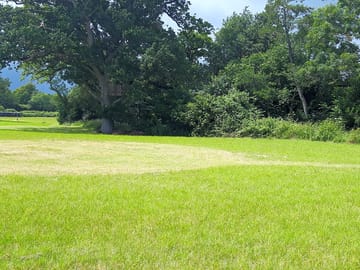Grass pitches
