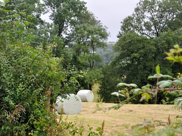 View of the small meadow when the hay has been baled