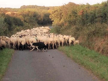 Rush hour traffic