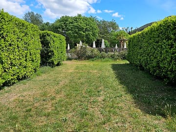 Hedges mark the pitches